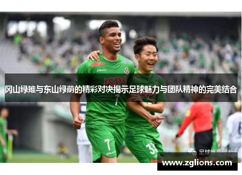 冈山绿雉与东山绿荫的精彩对决揭示足球魅力与团队精神的完美结合